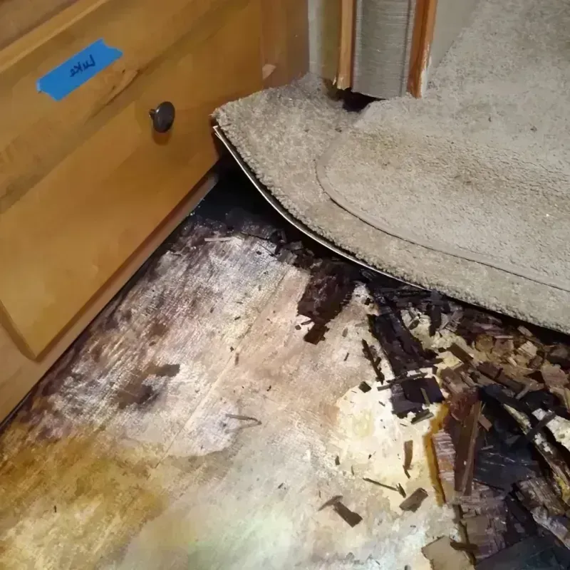 Wood Floor Water Damage in Evergreen Park, IL